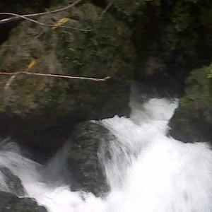 Meet your Posher, Sonya